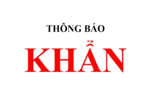 TP.HCM khẩn tìm người đến 5 cửa hàng điện thoại
