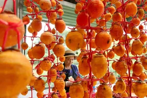 Về Đà Lạt ngắm và thưởng thức hồng treo gió vào mùa