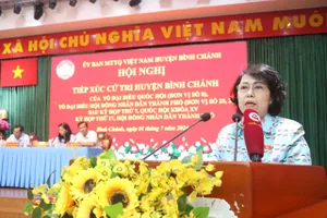 Cử tri lo lắng khi biết dự án Sing Việt liên quan đến bà Trương Mỹ Lan