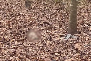 Phát hiện bộ xương người tại khu dân cư Phú Xuân huyện Nhà Bè