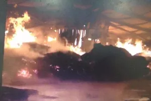 Cháy công ty sản xuất gỗ, thiệt hại hàng chục tỉ đồng