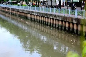 Cá tiếp tục ngoi ngóp trên kênh Nhiêu Lộc