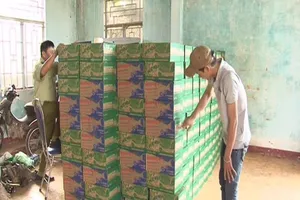 Bắt 600 thùng nước ngọt trôi nổi nhập lậu từ Campuchia