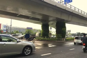 Xem xét ngưng cấp phù hiệu ô tô từ 9 chỗ trở xuống