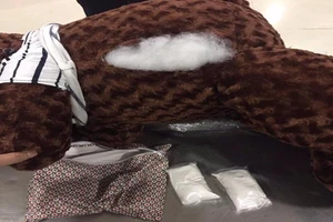 Bắt đối tượng giấu ma túy trong gấu bông tại TSN