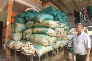 100 tỉ đồng phục hồi sản xuất miền Trung