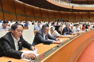 Chính quyền đô thị TP.HCM: Đã đến lúc quyết định!