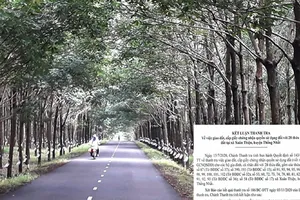 Biến đất nông trường thành của riêng