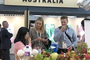 Xóa 99% thuế: Lợi thế mới cho hàng Việt tại Anh