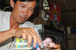 Chuyện ở Vồ Dơi: Thả thú về rừng, niềm vui lớn hơn tiền bạc