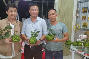 Hoa mới, trái cây hình độc, lạ rục rịch ra chợ tết