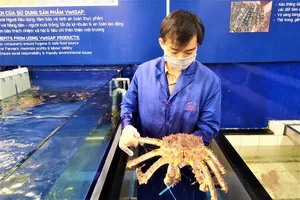 Mâm cỗ, đặc sản 3 miền đổ ra chợ tết