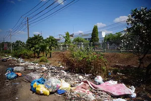 Đốt rác đốt cả cây xanh