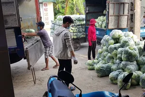 Doanh nghiệp Hải Dương kêu cứu vì nhiều tỉnh… cấm xe