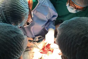 Hợp thức hóa mua bán tạng bằng nhiều mánh khóe tinh vi