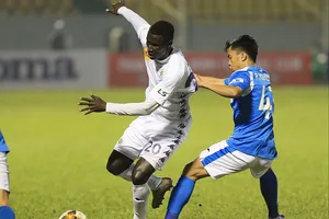 Nghịch lý 8 tháng không có lương vẫn cống hiến