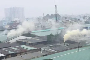 TP.HCM phê duyệt chương trình giảm ô nhiễm môi trường