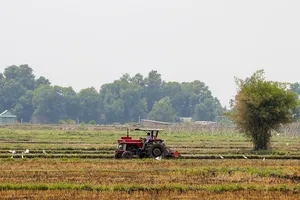 'Dễ thở' hơn trong chuyển mục đích sử dụng đất