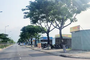 Đất Đà Nẵng đang rẻ hơn năm 2019