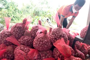 Đặc sản nổi tiếng Việt lên sàn, bán đắt như tôm tươi