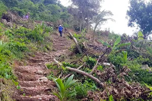 Sai phạm hàng tỉ đồng ở Ban quản lý rừng Kiên Giang