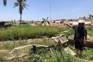 Xem xét bổ sung suất tái định cư cho người dân bị thu hồi đất