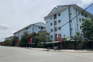 TP.HCM: Vì sao chậm bán đấu giá 44 căn hộ tái định cư không sử dụng?