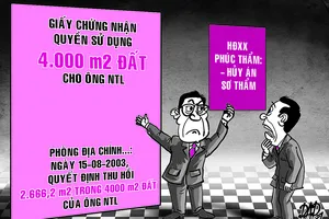 Viện, Tòa Cấp cao chỉ ra nhiều sai phạm trong án hành chính