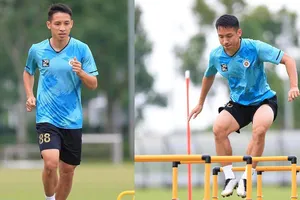 Bầu Hiển không ủng hộ ông Park?