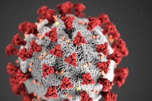 Cảnh báo nguy cơ Omicron, Delta kết hợp thành siêu biến thể mới