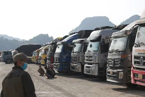 Khẩn cấp giải cứu 6.200 xe hàng kẹt ở cửa khẩu