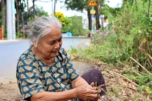 Người dân vùng ven trồng lại hoa để chống xả rác