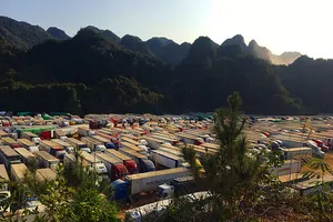 Thứ trưởng Bộ NN&PTNT: 'Giải cứu thanh ​long, không xong không về'