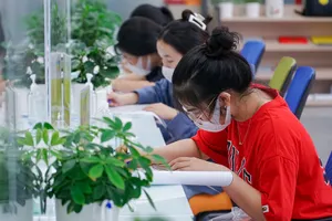 Học sinh bắt đầu “săn” suất vào đại học sớm