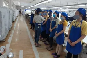 F0, F1 đi làm: Bao giờ hết trắc trở, gập ghềnh? 