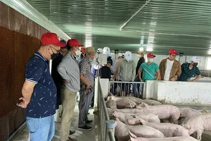 Doanh nhân Việt ồ ạt mở mô hình kinh doanh độc, lạ