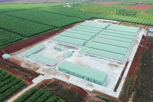 Yêu cầu xử nghiêm công ty làm trang trại nuôi heo trái phép