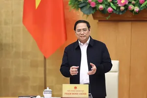 Xử nghiêm việc lợi dụng đấu giá gây nhiễu loạn thị trường