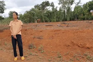 Dân nghèo trắng tay trong cơn sốt đất 