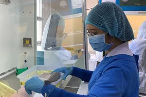 Cảnh giác với viêm gan cấp chưa rõ nguyên nhân ở trẻ em 