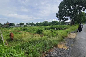 Ngăn chặn ngay nạn cò thổi giá đất tại Củ Chi, Hóc Môn 