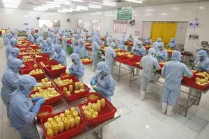 Đưa dòng chảy nông sản Việt thâm nhập thị trường Mỹ 