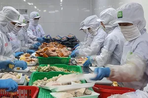 Tác động “bão giá” lương thực thế giới đến Việt Nam 