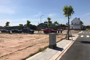 Giao dịch đất nền đầu năm tăng đột biến 