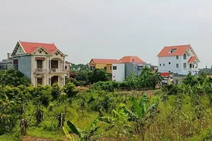 Rủi ro khi sử dụng đất không đúng mục đích 