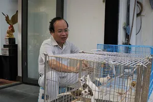 “Người bạn” của gần trăm chú chim chào mào đột biến 