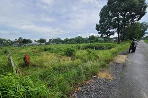 Cần bên thứ ba thẩm định giao dịch bất động sản 