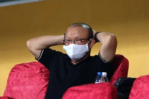 Ông Park lưỡng lự tái ký hợp đồng với VFF 