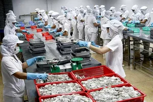 Tàu cá nằm bờ, doanh nghiệp “khát” nguyên liệu hải sản 