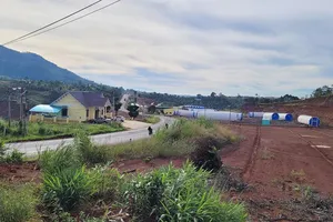 Đắk Nông: Cấp sổ hồng, phân lô đất rừng trái phép 